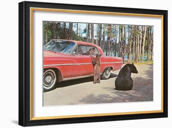 Bears Begging at Car-null-Framed Art Print