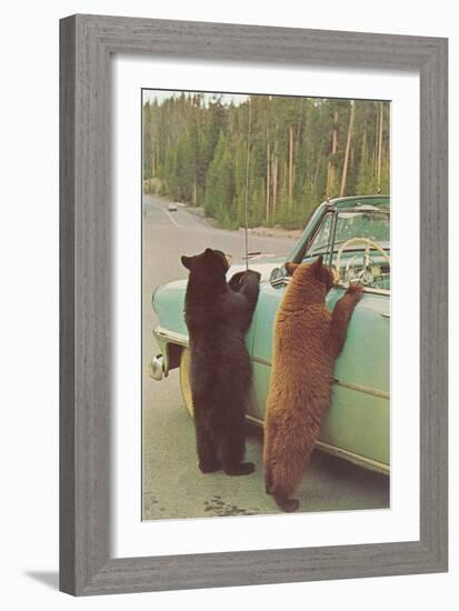 Bears Begging at Side of Car-null-Framed Art Print