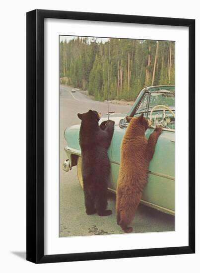 Bears Begging at Side of Car-null-Framed Art Print