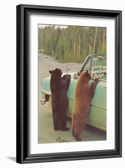 Bears Begging at Side of Car-null-Framed Art Print