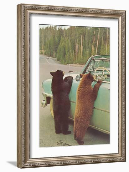 Bears Begging at Side of Car-null-Framed Premium Giclee Print