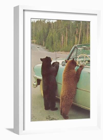 Bears Begging at Side of Car-null-Framed Premium Giclee Print