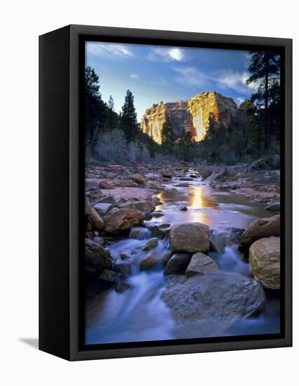 Bears Ears National Monument, Utah. USA. Creek in Arch Canyon. Manti-La Sal NF. Colorado Plateau.-Scott Smith-Framed Premier Image Canvas