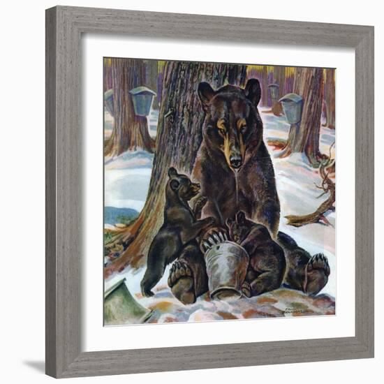 "Bears Eating Maple Syrup," March 28, 1942-Paul Bransom-Framed Giclee Print