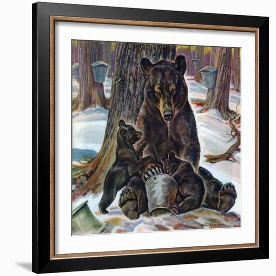 "Bears Eating Maple Syrup," March 28, 1942-Paul Bransom-Framed Giclee Print