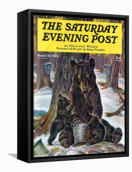 "Bears Eating Maple Syrup," Saturday Evening Post Cover, March 28, 1942-Paul Bransom-Framed Premier Image Canvas