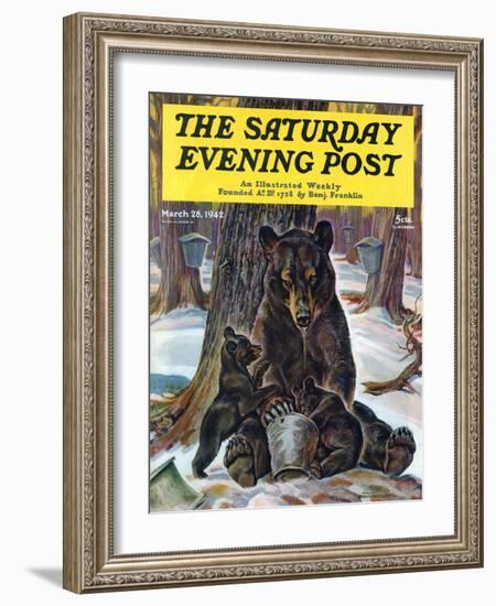 "Bears Eating Maple Syrup," Saturday Evening Post Cover, March 28, 1942-Paul Bransom-Framed Giclee Print