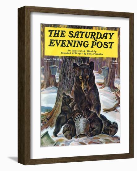 "Bears Eating Maple Syrup," Saturday Evening Post Cover, March 28, 1942-Paul Bransom-Framed Giclee Print