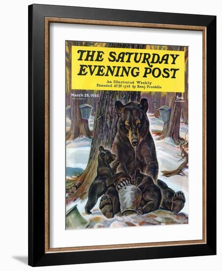"Bears Eating Maple Syrup," Saturday Evening Post Cover, March 28, 1942-Paul Bransom-Framed Giclee Print