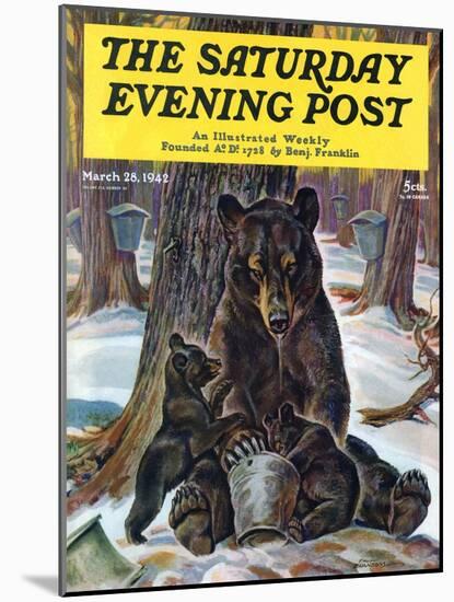 "Bears Eating Maple Syrup," Saturday Evening Post Cover, March 28, 1942-Paul Bransom-Mounted Giclee Print