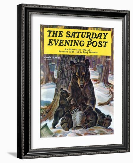 "Bears Eating Maple Syrup," Saturday Evening Post Cover, March 28, 1942-Paul Bransom-Framed Giclee Print