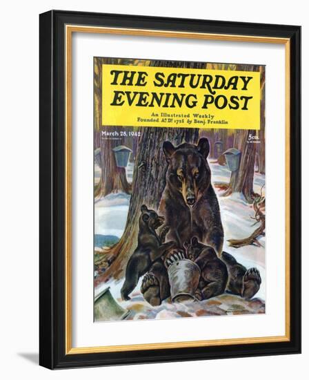 "Bears Eating Maple Syrup," Saturday Evening Post Cover, March 28, 1942-Paul Bransom-Framed Giclee Print