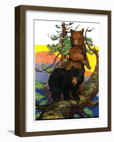 "Bears in Tree,"August 16, 1930-Charles Bull-Framed Giclee Print