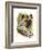 Beastly-Barbara Keith-Framed Giclee Print