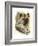 Beastly-Barbara Keith-Framed Giclee Print