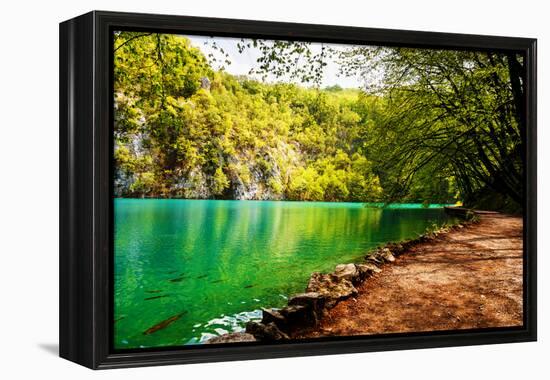 Beaten Track near A Forest Lake in Plitvice Lakes National Park, Croatia-Lamarinx-Framed Premier Image Canvas