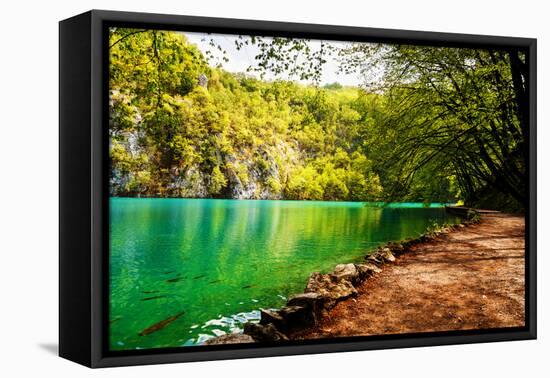 Beaten Track near A Forest Lake in Plitvice Lakes National Park, Croatia-Lamarinx-Framed Premier Image Canvas