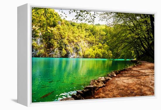 Beaten Track near A Forest Lake in Plitvice Lakes National Park, Croatia-Lamarinx-Framed Premier Image Canvas