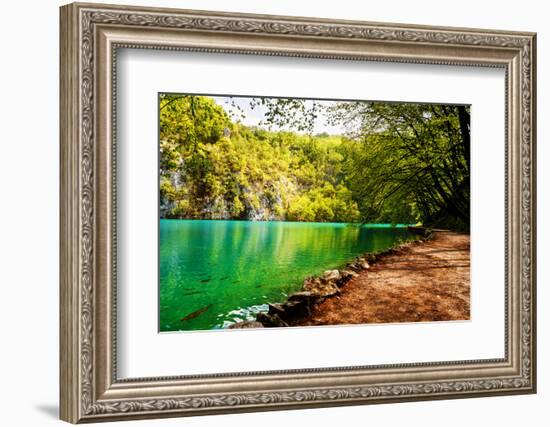 Beaten Track near A Forest Lake in Plitvice Lakes National Park, Croatia-Lamarinx-Framed Photographic Print