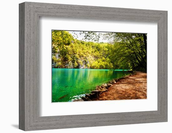 Beaten Track near A Forest Lake in Plitvice Lakes National Park, Croatia-Lamarinx-Framed Photographic Print