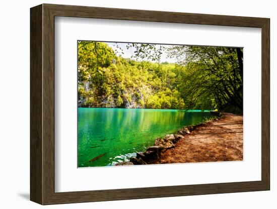 Beaten Track near A Forest Lake in Plitvice Lakes National Park, Croatia-Lamarinx-Framed Photographic Print