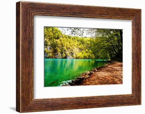 Beaten Track near A Forest Lake in Plitvice Lakes National Park, Croatia-Lamarinx-Framed Photographic Print