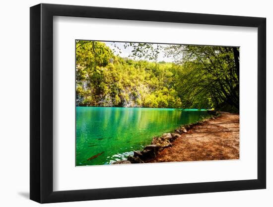 Beaten Track near A Forest Lake in Plitvice Lakes National Park, Croatia-Lamarinx-Framed Photographic Print