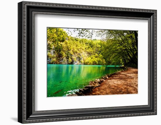 Beaten Track near A Forest Lake in Plitvice Lakes National Park, Croatia-Lamarinx-Framed Photographic Print