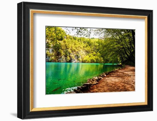 Beaten Track near A Forest Lake in Plitvice Lakes National Park, Croatia-Lamarinx-Framed Photographic Print