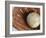 Beaten-Up Baseball in Baseball Glove-null-Framed Photographic Print