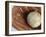 Beaten-Up Baseball in Baseball Glove-null-Framed Photographic Print