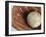 Beaten-Up Baseball in Baseball Glove-null-Framed Photographic Print