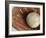 Beaten-Up Baseball in Baseball Glove-null-Framed Photographic Print