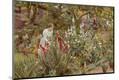 Photographic Print