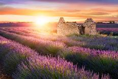 Sun Is Setting over a Beautiful Purple Lavender Filed in Valensole. Provence, France-Beatrice Preve-Photographic Print