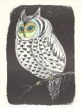 Lummon Owl-Beatrice Seiden-Framed Collectable Print