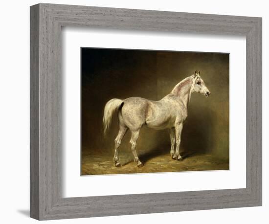 Beatrice, the White Arab Saddlehorse of Helmuth Graf Von Moltke, 1855-Carl Constantin Steffeck-Framed Giclee Print