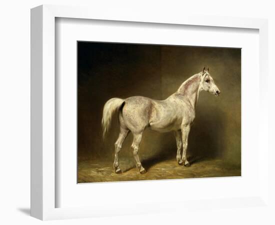 Beatrice, the White Arab Saddlehorse of Helmuth Graf Von Moltke, 1855-Carl Constantin Steffeck-Framed Giclee Print