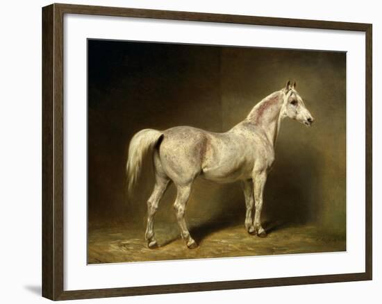 Beatrice, the White Arab Saddlehorse of Helmuth Graf Von Moltke, 1855-Carl Constantin Steffeck-Framed Giclee Print