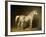 Beatrice, the White Arab Saddlehorse of Helmuth Graf Von Moltke, 1855-Carl Constantin Steffeck-Framed Giclee Print
