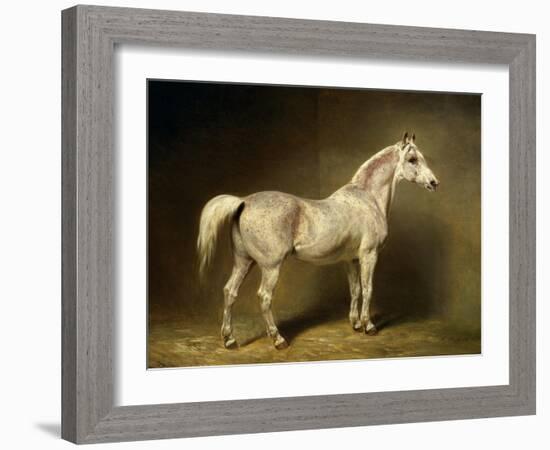 Beatrice, the White Arab Saddlehorse of Helmuth Graf Von Moltke, 1855-Carl Constantin Steffeck-Framed Giclee Print