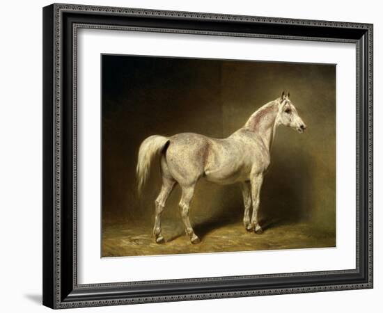 Beatrice, the White Arab Saddlehorse of Helmuth Graf Von Moltke, 1855-Carl Constantin Steffeck-Framed Giclee Print