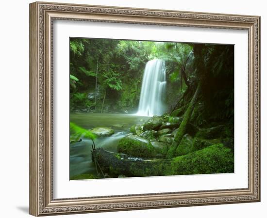 Beauchamp Fall, Waterfall in the Rainforest, Otway N.P., Great Ocean Road, Victoria, Australia-Thorsten Milse-Framed Photographic Print