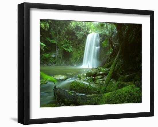 Beauchamp Fall, Waterfall in the Rainforest, Otway N.P., Great Ocean Road, Victoria, Australia-Thorsten Milse-Framed Photographic Print