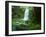 Beauchamp Fall, Waterfall in the Rainforest, Otway N.P., Great Ocean Road, Victoria, Australia-Thorsten Milse-Framed Photographic Print