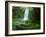 Beauchamp Fall, Waterfall in the Rainforest, Otway N.P., Great Ocean Road, Victoria, Australia-Thorsten Milse-Framed Photographic Print