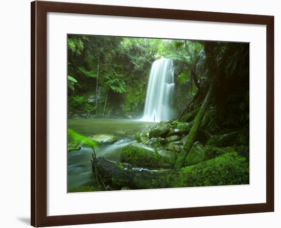 Beauchamp Fall, Waterfall in the Rainforest, Otway N.P., Great Ocean Road, Victoria, Australia-Thorsten Milse-Framed Photographic Print