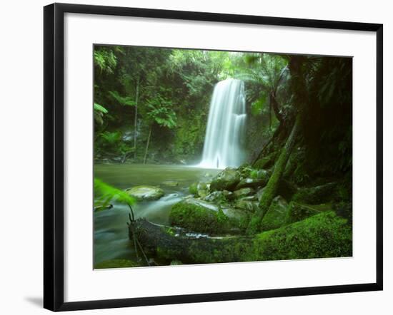 Beauchamp Fall, Waterfall in the Rainforest, Otway N.P., Great Ocean Road, Victoria, Australia-Thorsten Milse-Framed Photographic Print