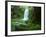 Beauchamp Fall, Waterfall in the Rainforest, Otway N.P., Great Ocean Road, Victoria, Australia-Thorsten Milse-Framed Photographic Print