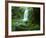 Beauchamp Fall, Waterfall in the Rainforest, Otway N.P., Great Ocean Road, Victoria, Australia-Thorsten Milse-Framed Photographic Print